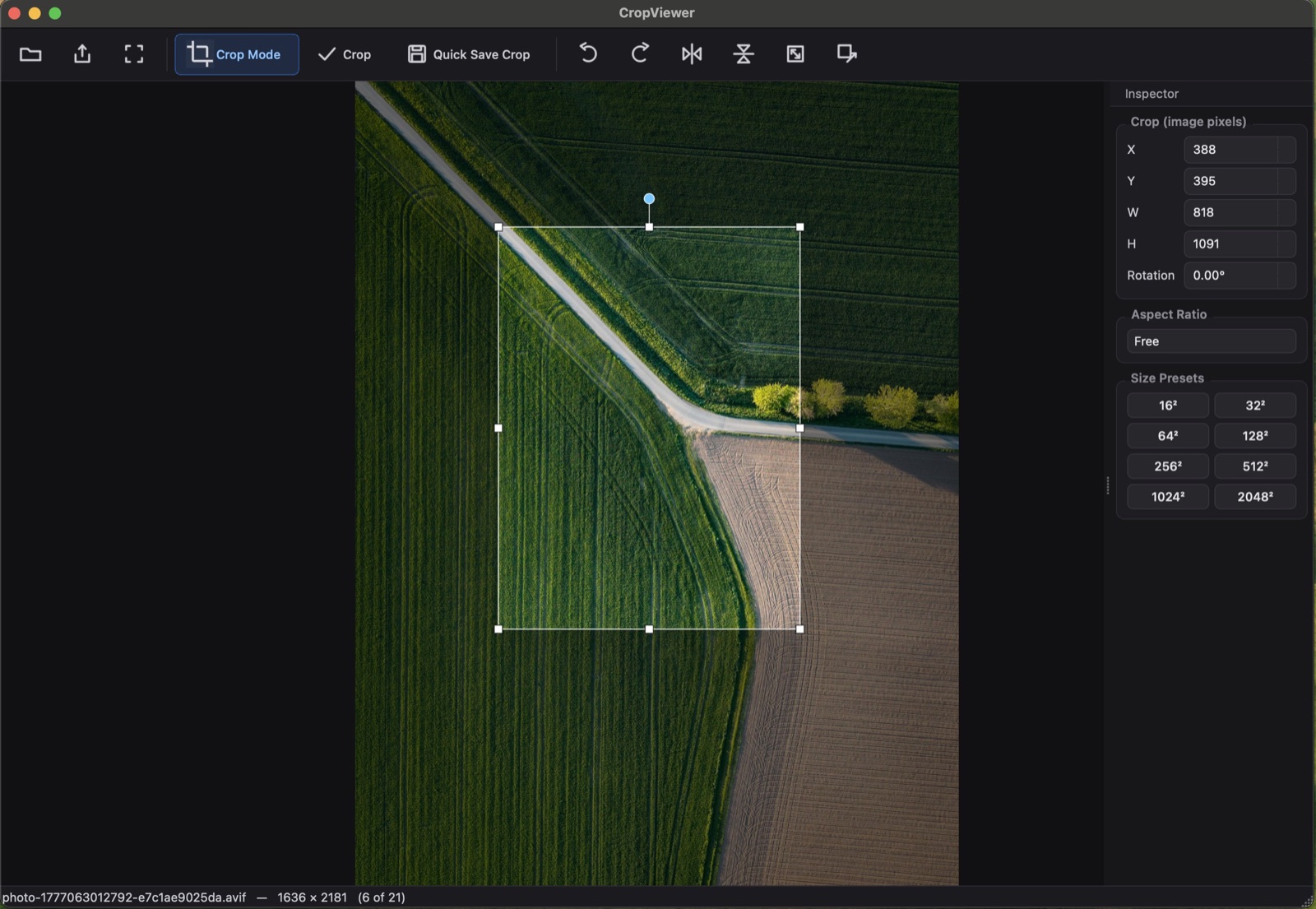 Crop mode with the inspector panel