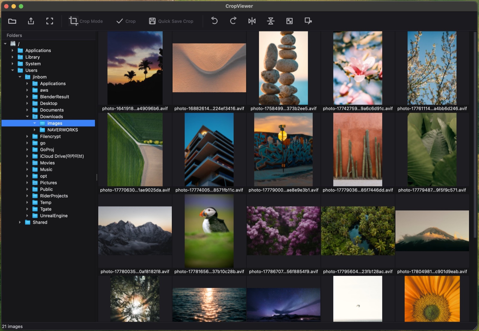 CropViewer thumbnail grid with a folder tree, file names under each thumbnail, and the toolbar